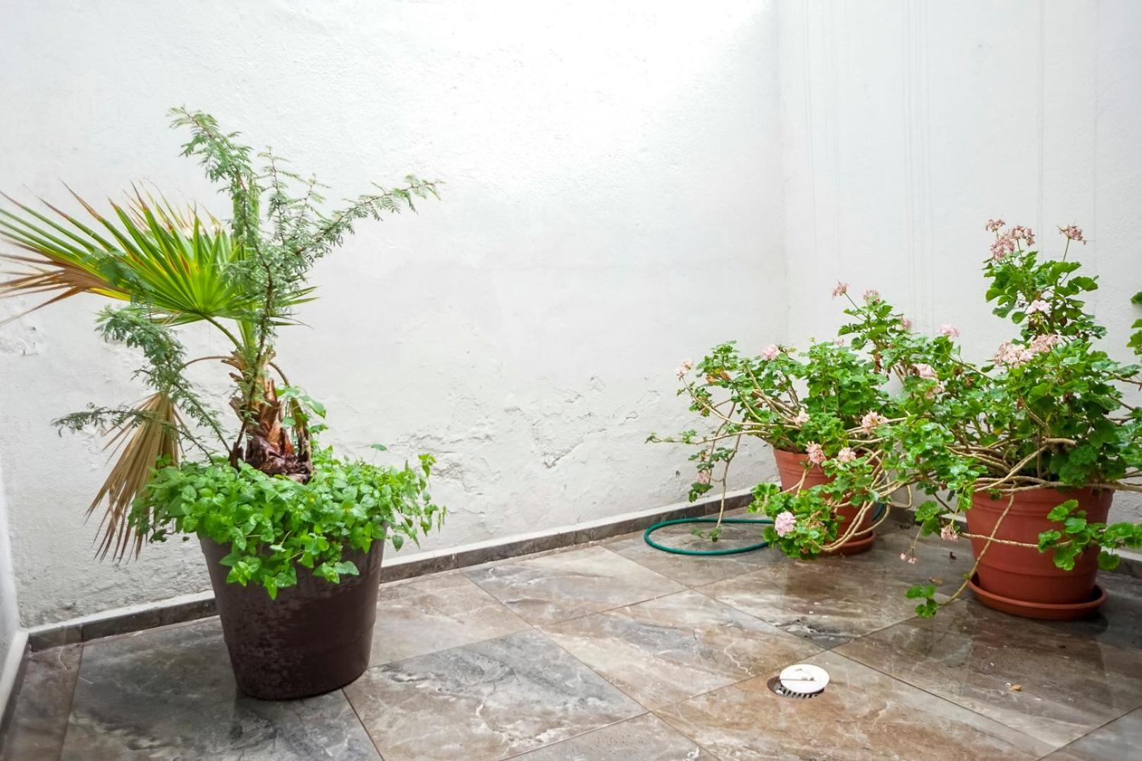 Casa Morelos Stayhouse San Luis Potosi Exterior photo