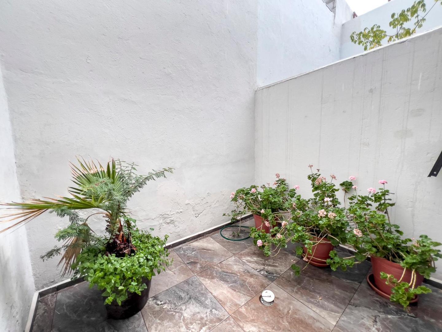 Casa Morelos Stayhouse San Luis Potosi Exterior photo